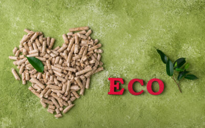 Niezależność energetyczna na wsi vs w mieście – jakie rozwiązania mają sens?