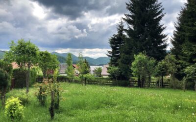 Oznaczenia gruntów (Bz, R, Ls, Bi, B): jak je czytać przed zakupem działki